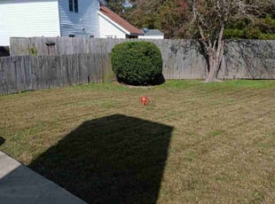Bush Trimming by Kelvin Gooding for Dan S. in Virginia Beach, VA