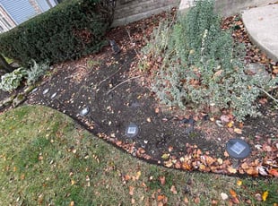 Weeding by Aileen Sanchez for Lisa H. in Naperville, IL