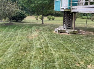 Evan L.'s Lawn Mowing Service service result