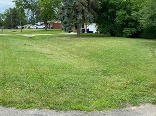 Warren K.'s Lawn Maintenance service result