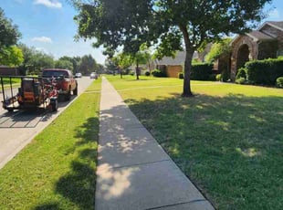 Morgan T.'s Lawn Mowing service result
