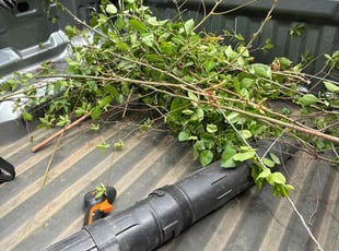 Weeding by Travis Garrett for Ashley B. in Woodstock, GA