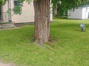 Pamela R.'s Lawn Care service result