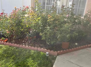 Weeding by Julian Charles for Armand A. in Temecula, CA