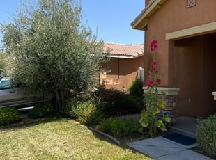 Bush Trimming by Mario Monje for Susan B. in Perris, CA