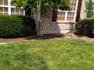 Bush Trimming by Daniel Eplett for Lakesha W. in O'Fallon, MO
