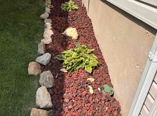 Cleanups by Will Newton for Leo D. in Fenton, MO