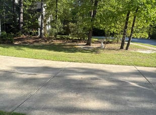 Melvin W.'s Lawn Service service result
