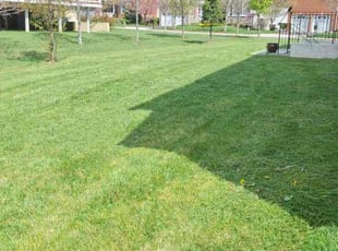 Creslan P.'s Lawn Service service result