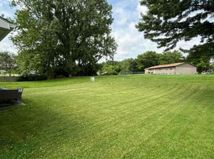 Ken H.'s Lawn Mowing service result