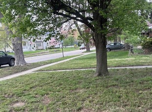 Cleanups by Ulyses Sanchez for Jordan D. in Edwardsville, IL