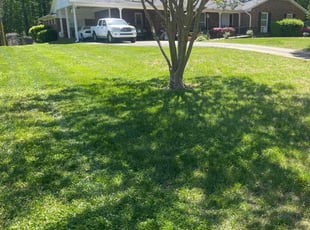 Timothy D.'s Lawn Maintenance service result