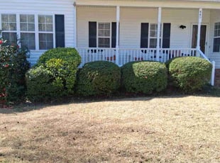 Bush Trimming by Cory McLean for Darryl H. in Garner, NC