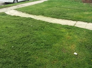 Leaf Removal by Patrick Peacock for Richard W. in Indianapolis, IN