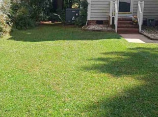 Dorothy W.'s Grass Cutting service result