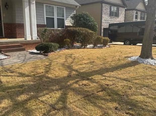 Bush Trimming by Jermaine Huguley for Michael W. in Fairburn, GA