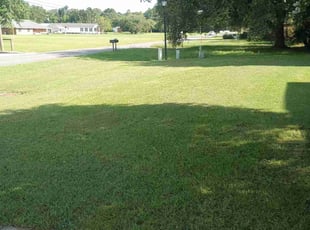 William W.'s Grass Cutting service result