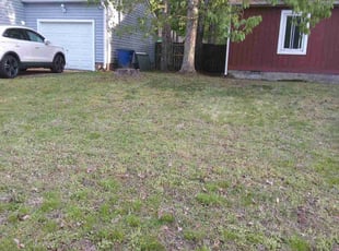 Leaf Removal by Brandon Dickerson for Melissa j. in Newport News, VA