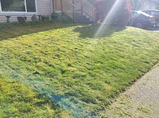 Pam F.'s Lawn Mowing Service service result