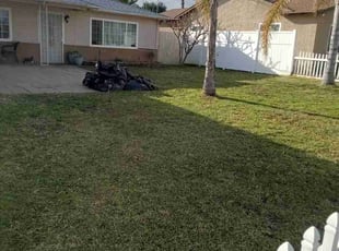 Cleanups by Alfredo Najera for Deseree p. in Fontana, CA