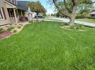 Carolyn L.'s Lawn Mowing service result
