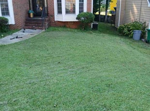 Elisa S.'s Bush Trimming service result