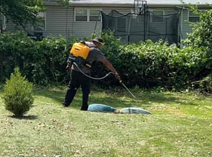 Leaf Removal by Manuel Perez for Tissalie J. in Florissant, MO