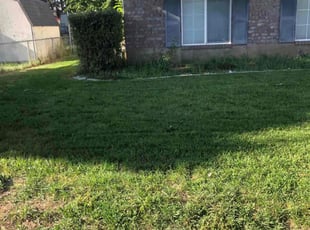 Bush Trimming by Shawn Beardall for Kim H. in Spanish Fork, UT