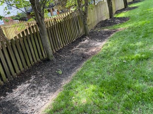 Leaf Removal by Clinton Johnson for Innessa R. in Mechanicsville, VA