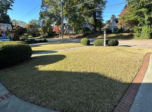 Margaret N.'s Lawn Care service result