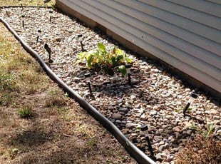 Weeding by Phillip Lopez for Elaine M. in Raytown, MO