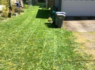 Gary W.'s Grass Cutting service result