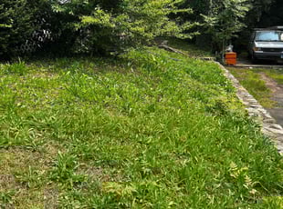Minerfi M.'s Flower Bed Weeding service result