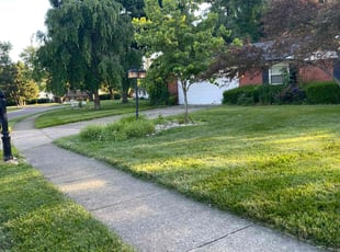 Rebecca R.'s Lawn Service service result