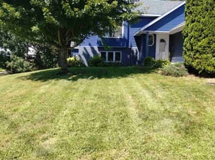 Maurice A.'s Yard Cutting service result