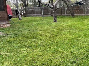 Shannon M.'s Yard Cutting service result
