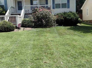 Weeding by Robert McCrary for Robin R. in Concord, NC