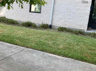 Bush Trimming by Moises Perez for Eric W. in Houston, TX