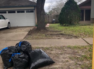 Cleanups by Dulce Aguirre for Pamela L. in Houston, TX