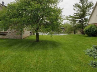 David T.'s Lawn Care service result