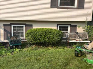 Kathy F.'s Bush Trimming service result