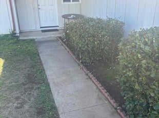 Bush Trimming by Miguel Valdez for Nick H. in San Diego, CA