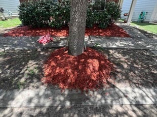 Robin W.'s Mulching service result