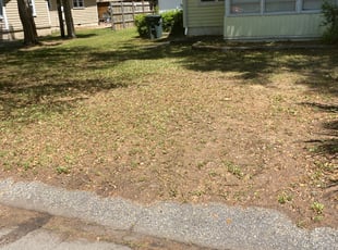 Leaf Removal by Xavier Grant for Craig W. in North Myrtle Beach, SC