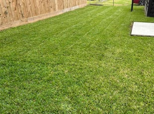 Gerald L.'s Yard Cutting service result