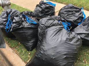 Leaf Removal by Arsene Kwizera for Shari A. in Austin, TX
