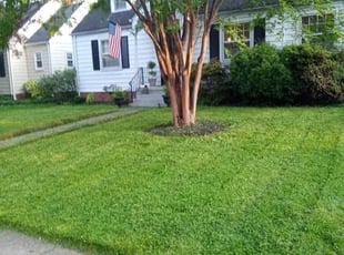 Megan P.'s Lawn Mowing Service service result