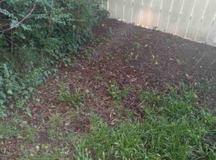 Cleanups by Jamaar Waddler for Timothy T. in Portsmouth, VA