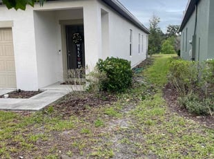 Wendy K.'s Bush Trimming service result
