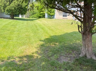 Valerie F.'s Yard Cutting service result